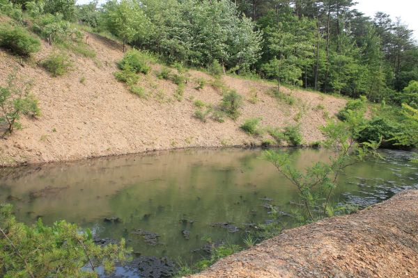 Cost of Pond Erosion Repair in Port Angeles