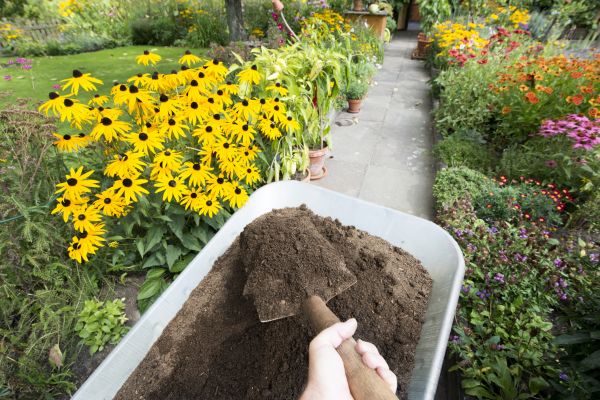Cost of Topsoil Installation in Port Angeles