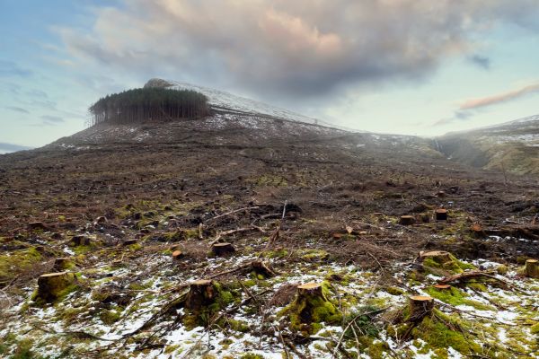 Cost of Hill Removal in Port Angeles